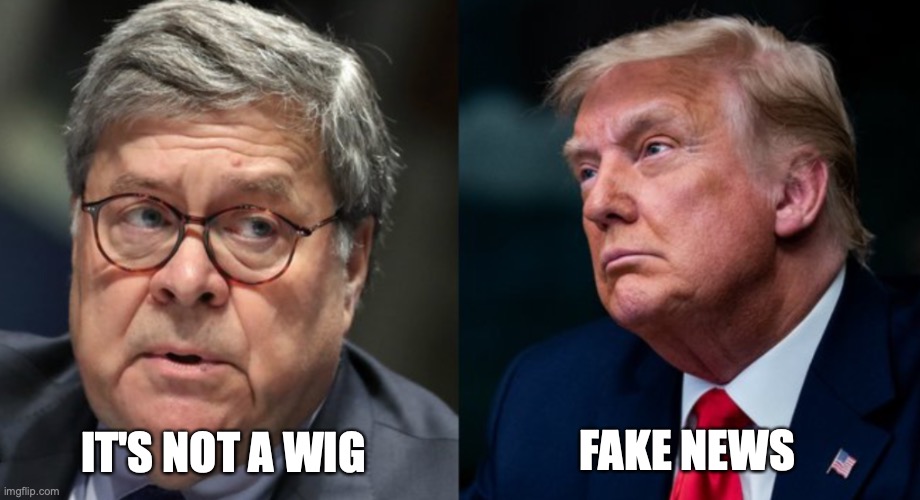 Fake Wig | FAKE NEWS; IT'S NOT A WIG | image tagged in barr,wig,fake news | made w/ Imgflip meme maker