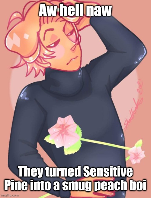 Reeeeeeeeeeeeee Idk | Aw hell naw; They turned Sensitive Pine into a smug peach boi | made w/ Imgflip meme maker