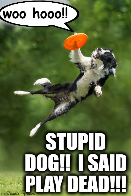 woo hooo!! STUPID DOG!!  I SAID PLAY DEAD!!! | made w/ Imgflip meme maker