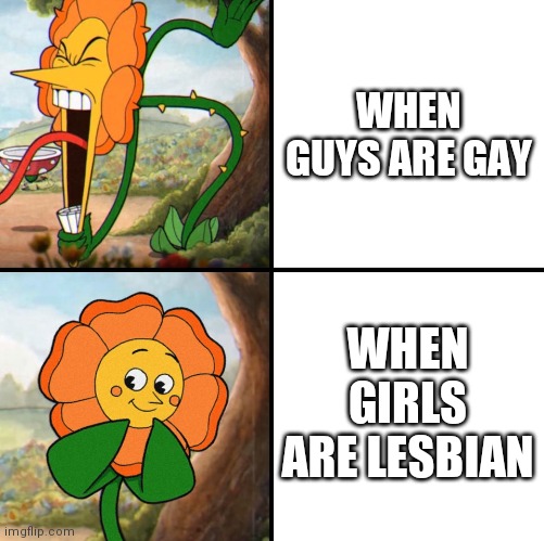 Twitter in a nutshell. I'm a straight male, but i love everybody regardless of orientation | WHEN GUYS ARE GAY; WHEN GIRLS ARE LESBIAN | image tagged in angry flower | made w/ Imgflip meme maker