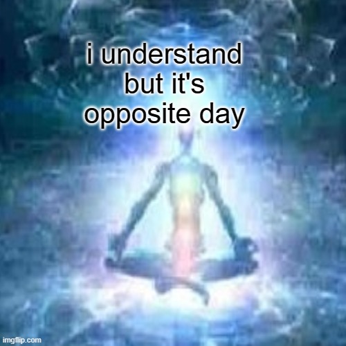 i understand but it's opposite day | made w/ Imgflip meme maker