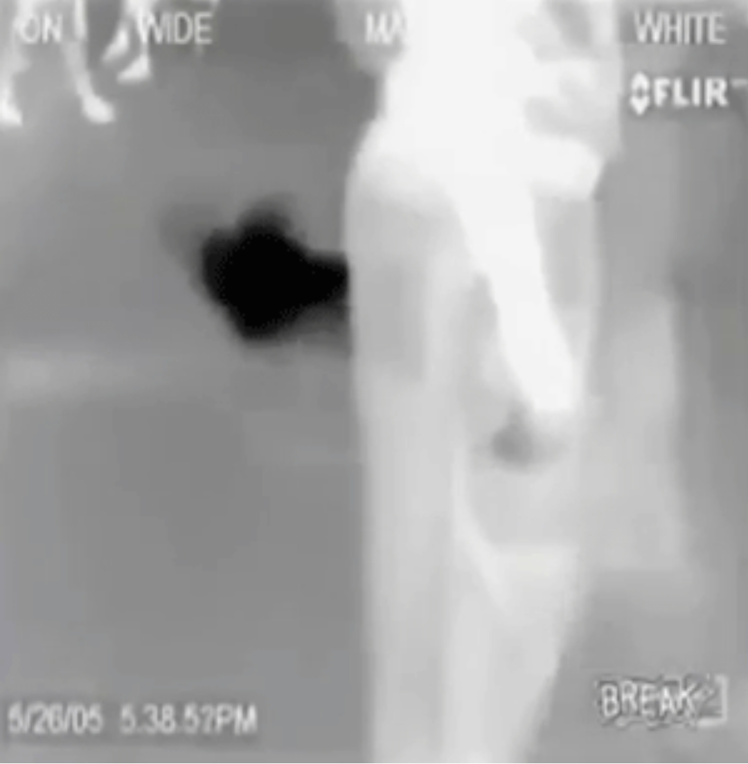 High Quality Fart thermal photography B/W 1 Blank Meme Template