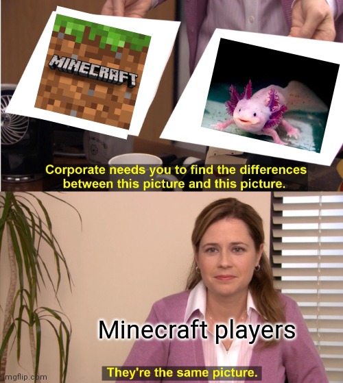 They're The Same Picture | Minecraft players | image tagged in memes,they're the same picture | made w/ Imgflip meme maker