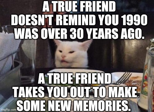 Salad cat | A TRUE FRIEND DOESN'T REMIND YOU 1990 WAS OVER 30 YEARS AGO. A TRUE FRIEND TAKES YOU OUT TO MAKE SOME NEW MEMORIES. | image tagged in salad cat | made w/ Imgflip meme maker