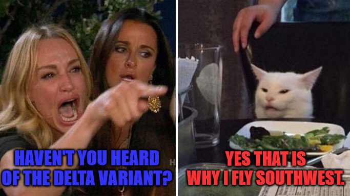 I Never Liked Delta | HAVEN'T YOU HEARD OF THE DELTA VARIANT? YES THAT IS WHY I FLY SOUTHWEST. | image tagged in angry lady cat | made w/ Imgflip meme maker