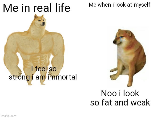 Buff Doge vs. Cheems Meme | Me in real life; Me when i look at myself; I feel so strong i am immortal; Noo i look so fat and weak | image tagged in memes,buff doge vs cheems | made w/ Imgflip meme maker