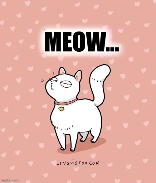 MEOW... | made w/ Imgflip meme maker