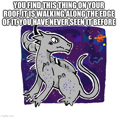 no op ocs | YOU FIND THIS THING ON YOUR ROOF, IT IS WALKING ALONG THE EDGE OF IT, YOU HAVE NEVER SEEN IT BEFORE | made w/ Imgflip meme maker