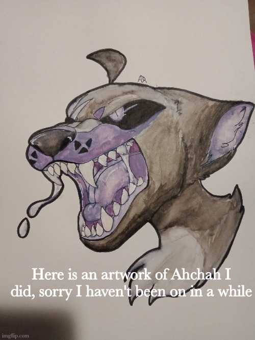 He is officially one of my fursonas now | Here is an artwork of Ahchah I did, sorry I haven't been on in a while | made w/ Imgflip meme maker