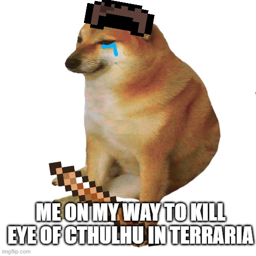 ME ON MY WAY TO KILL EYE OF CTHULHU IN TERRARIA | image tagged in cheems | made w/ Imgflip meme maker