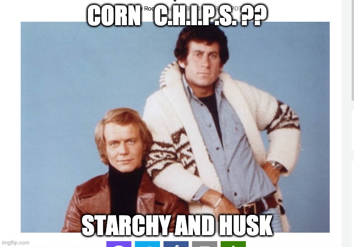 chips | CORN   C.H.I.P.S. ?? STARCHY AND HUSK | image tagged in tv shows | made w/ Imgflip meme maker