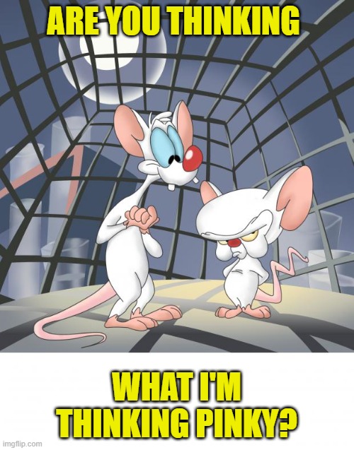Pinky and the brain | ARE YOU THINKING WHAT I'M THINKING PINKY? | image tagged in pinky and the brain | made w/ Imgflip meme maker