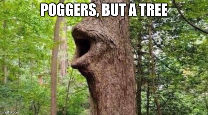 OG post by Badtime-Bro | POGGERS, BUT A TREE | image tagged in repost,poggers,tree,funny,cursed | made w/ Imgflip meme maker