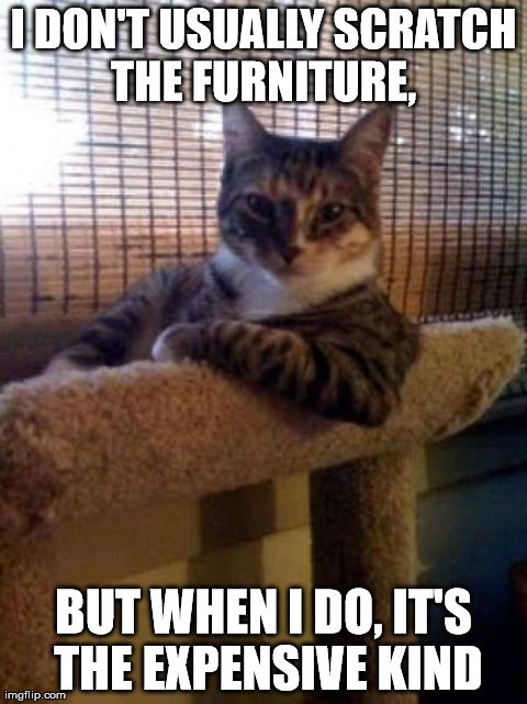 The Most Interesting Cat In The World | image tagged in memes,the most interesting cat in the world | made w/ Imgflip meme maker