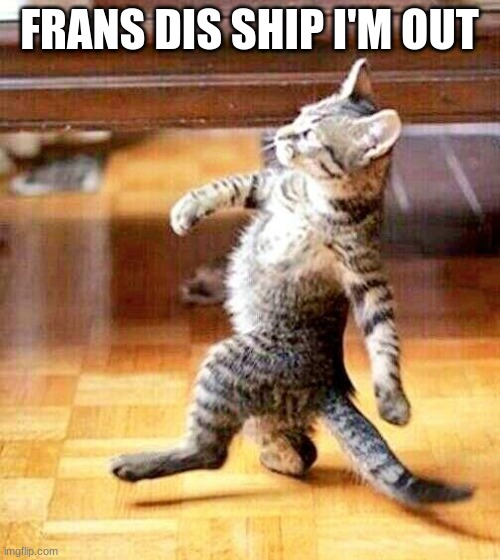 Cat Walking Away | FRANS DIS SHIP I'M OUT | image tagged in cat walking away | made w/ Imgflip meme maker