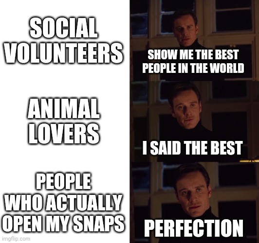 Keep 'em they are your true friends ? | SOCIAL VOLUNTEERS; SHOW ME THE BEST PEOPLE IN THE WORLD; ANIMAL LOVERS; I SAID THE BEST; PEOPLE WHO ACTUALLY OPEN MY SNAPS; PERFECTION | image tagged in perfection,snapchat,memes | made w/ Imgflip meme maker