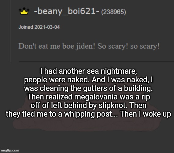 The life of a man with anger issues, and personal boundaries | I had another sea nightmare, people were naked. And I was naked, I was cleaning the gutters of a building. Then realized megalovania was a rip off of left behind by slipknot. Then they tied me to a whipping post... Then I woke up | image tagged in beany | made w/ Imgflip meme maker