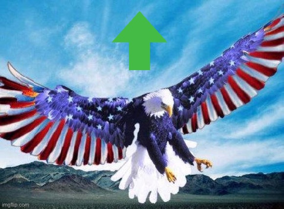 Freedom eagle | image tagged in freedom eagle | made w/ Imgflip meme maker
