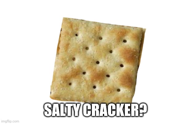 Crackers | SALTY CRACKER? | image tagged in crackers | made w/ Imgflip meme maker