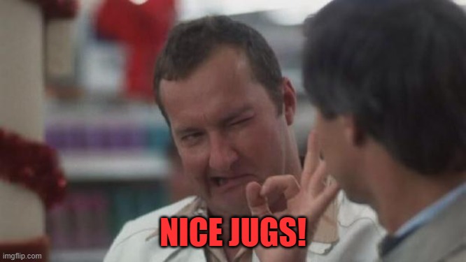 Real Nice - Christmas Vacation | NICE JUGS! | image tagged in real nice - christmas vacation | made w/ Imgflip meme maker