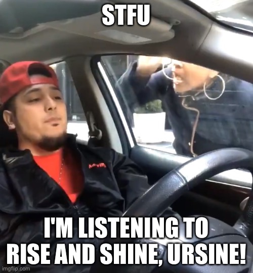 why is it so catchy | STFU; I'M LISTENING TO RISE AND SHINE, URSINE! | image tagged in stfu im listening to | made w/ Imgflip meme maker