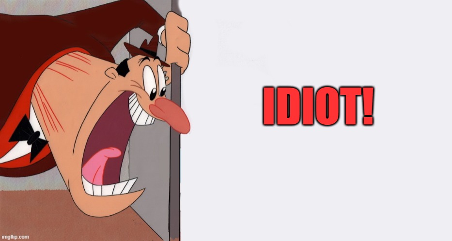 HEY! | IDIOT! | image tagged in hey | made w/ Imgflip meme maker
