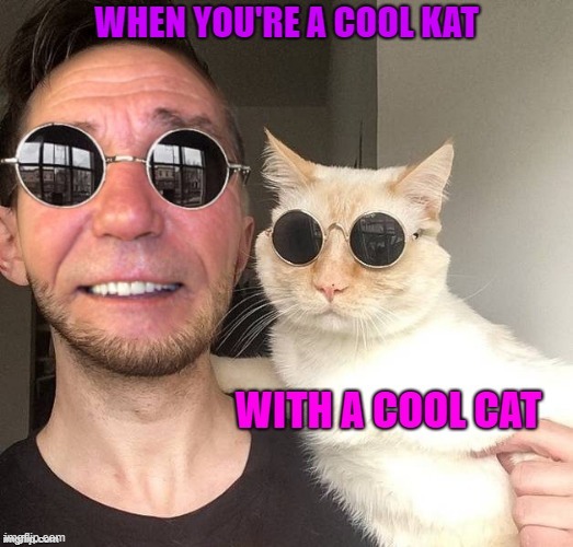 kewl kat | image tagged in cat,cool | made w/ Imgflip meme maker