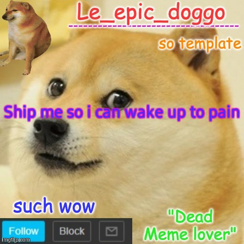 Le_epic_doggo's dead meme temp | Ship me so i can wake up to pain | image tagged in le_epic_doggo's dead meme temp | made w/ Imgflip meme maker