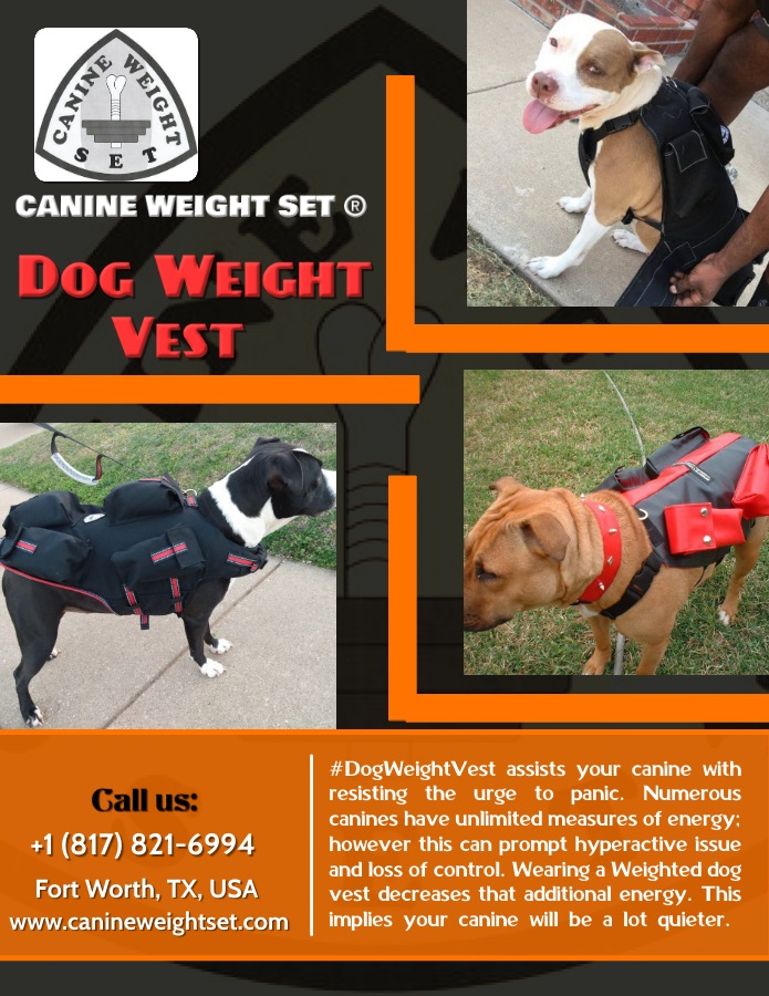 Dog weight vest Blank Meme Template