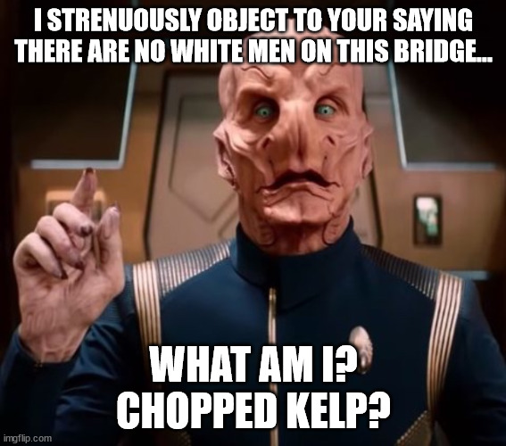 Saru | I STRENUOUSLY OBJECT TO YOUR SAYING THERE ARE NO WHITE MEN ON THIS BRIDGE... WHAT AM I?
CHOPPED KELP? | image tagged in saru,star trek discovery,doug jones,commander saru,captain saru | made w/ Imgflip meme maker