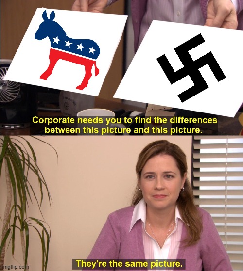 Democrats are N*zis. | image tagged in memes,they're the same picture,democratic party,nazi,swastika | made w/ Imgflip meme maker