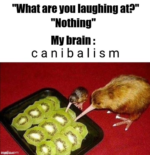 xd | "What are you laughing at?"; "Nothing"; My brain : | image tagged in cannibalism,memes,funny,gifs,not really a gif,oh wow are you actually reading these tags | made w/ Imgflip meme maker