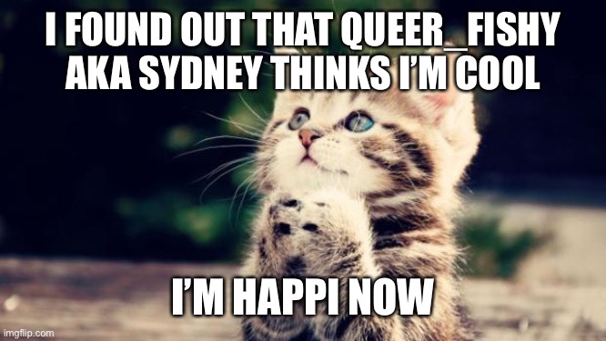 Cute kitten | I FOUND OUT THAT QUEER_FISHY AKA SYDNEY THINKS I’M COOL; I’M HAPPI NOW | image tagged in cute kitten | made w/ Imgflip meme maker