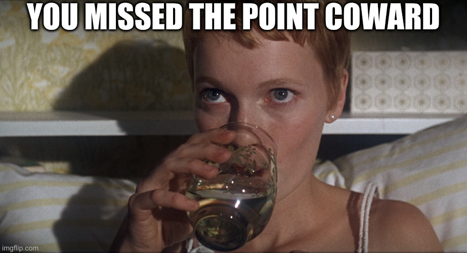 Rosemary | YOU MISSED THE POINT COWARD | image tagged in rosemary | made w/ Imgflip meme maker