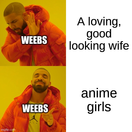 sorry if it hurts your feelings | A loving, good looking wife; WEEBS; anime girls; WEEBS | image tagged in memes,drake hotline bling | made w/ Imgflip meme maker