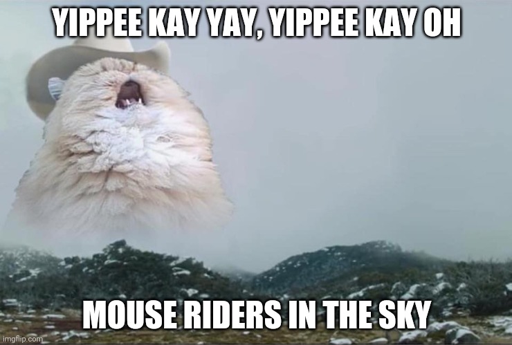 Screaming Cowboy Cat | YIPPEE KAY YAY, YIPPEE KAY OH; MOUSE RIDERS IN THE SKY | image tagged in screaming cowboy cat | made w/ Imgflip meme maker