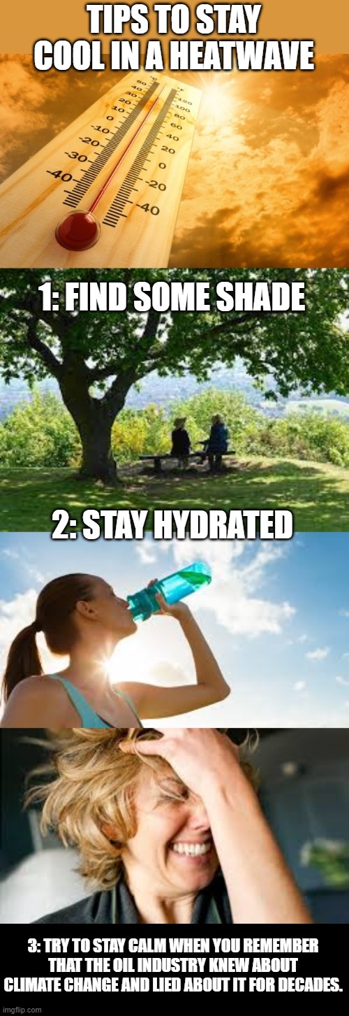 these tips could save a life | TIPS TO STAY COOL IN A HEATWAVE; 1: FIND SOME SHADE; 2: STAY HYDRATED; 3: TRY TO STAY CALM WHEN YOU REMEMBER THAT THE OIL INDUSTRY KNEW ABOUT CLIMATE CHANGE AND LIED ABOUT IT FOR DECADES. | image tagged in summer heat,climate change,oil industry | made w/ Imgflip meme maker