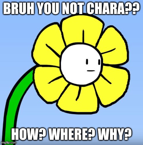 Wut Flowey | BRUH YOU NOT CHARA?? HOW? WHERE? WHY? | image tagged in wut flowey | made w/ Imgflip meme maker