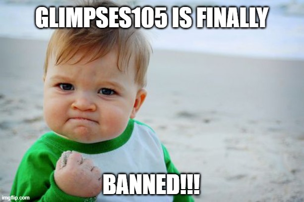 Go check reddit.com/u/glimpses105. | GLIMPSES105 IS FINALLY; BANNED!!! | image tagged in memes,success kid original | made w/ Imgflip meme maker