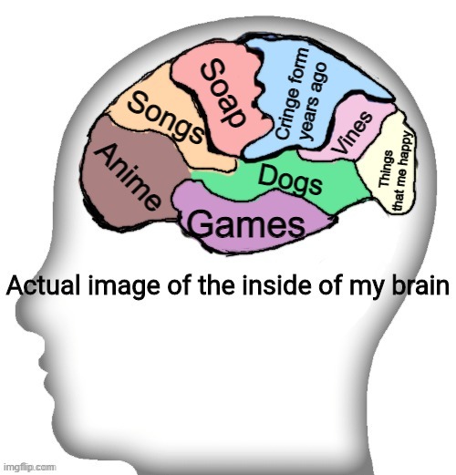 Actual image of the inside of my brain | Cringe form years ago; Soap; Songs; Vines; Anime; Things that me happy; Dogs; Games | image tagged in actual image of the inside of my brain | made w/ Imgflip meme maker