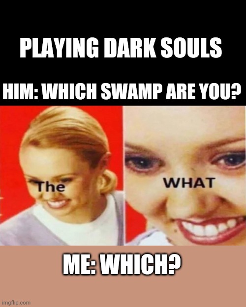 There are 2 swamps? | PLAYING DARK SOULS; HIM: WHICH SWAMP ARE YOU? ME: WHICH? | image tagged in the what | made w/ Imgflip meme maker