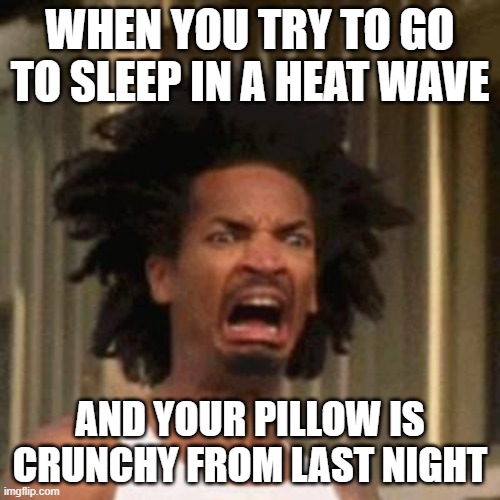 crab man eww | WHEN YOU TRY TO GO TO SLEEP IN A HEAT WAVE; AND YOUR PILLOW IS CRUNCHY FROM LAST NIGHT | image tagged in crab man eww,hot,heat | made w/ Imgflip meme maker