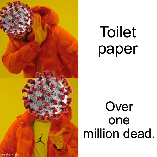 I am back after a long time. | Toilet paper; Over one million dead. | image tagged in memes,drake hotline bling | made w/ Imgflip meme maker
