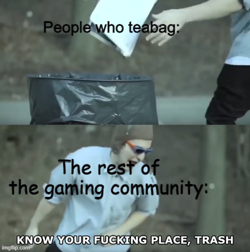 Know your place TRASH | People who teabag:; The rest of the gaming community: | image tagged in know your place trash | made w/ Imgflip meme maker