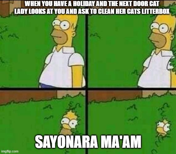 Homer Simpson Nope | WHEN YOU HAVE A HOLIDAY AND THE NEXT DOOR CAT LADY LOOKS AT YOU AND ASK TO CLEAN HER CATS LITTERBOX; SAYONARA MA'AM | image tagged in homer simpson nope | made w/ Imgflip meme maker