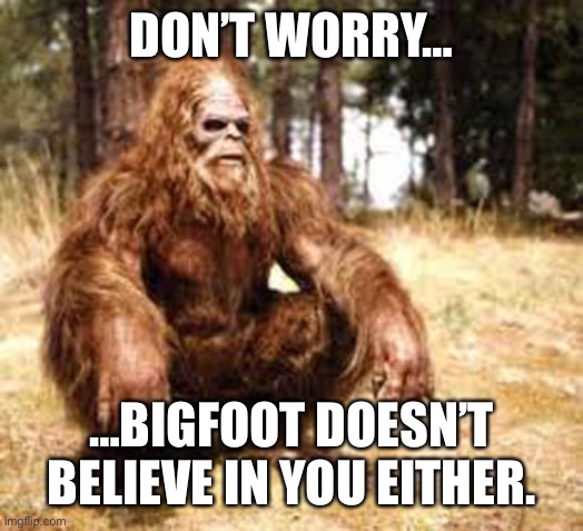 bigfoot | DON’T WORRY…; …BIGFOOT DOESN’T BELIEVE IN YOU EITHER. | image tagged in bigfoot | made w/ Imgflip meme maker