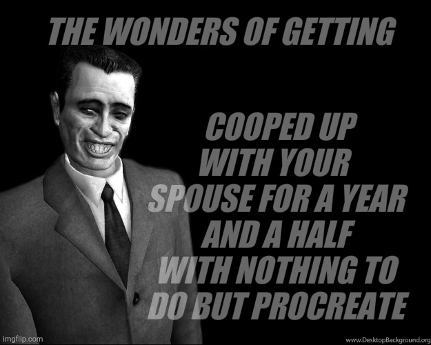 . | THE WONDERS OF GETTING COOPED UP WITH YOUR  SPOUSE FOR A YEAR AND A HALF WITH NOTHING TO DO BUT PROCREATE | image tagged in g-man from half-life | made w/ Imgflip meme maker