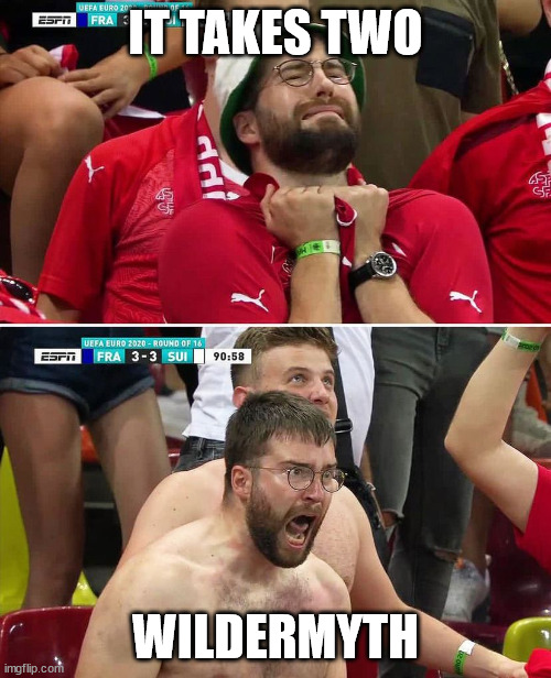 Euro 2020 Swiss Fan | IT TAKES TWO; WILDERMYTH | image tagged in euro 2020 swiss fan | made w/ Imgflip meme maker