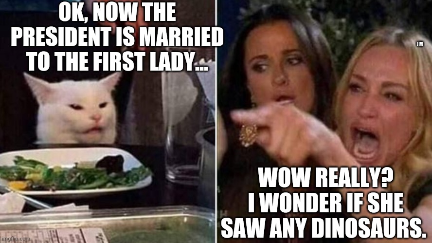 Reverse Smudge and Karen | OK, NOW THE PRESIDENT IS MARRIED TO THE FIRST LADY... J M; WOW REALLY? I WONDER IF SHE SAW ANY DINOSAURS. | image tagged in reverse smudge and karen | made w/ Imgflip meme maker