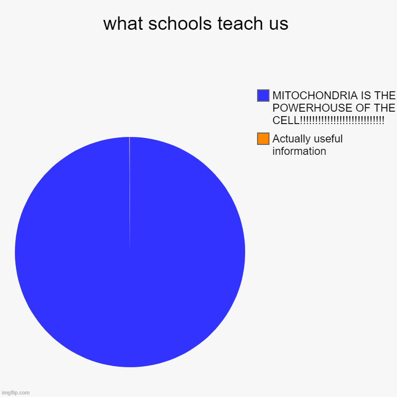 do you see the line? and also i won't take breaks until i get 10000 points | what schools teach us | Actually useful information, MITOCHONDRIA IS THE POWERHOUSE OF THE CELL!!!!!!!!!!!!!!!!!!!!!!!!!!!! | image tagged in charts,pie charts | made w/ Imgflip chart maker